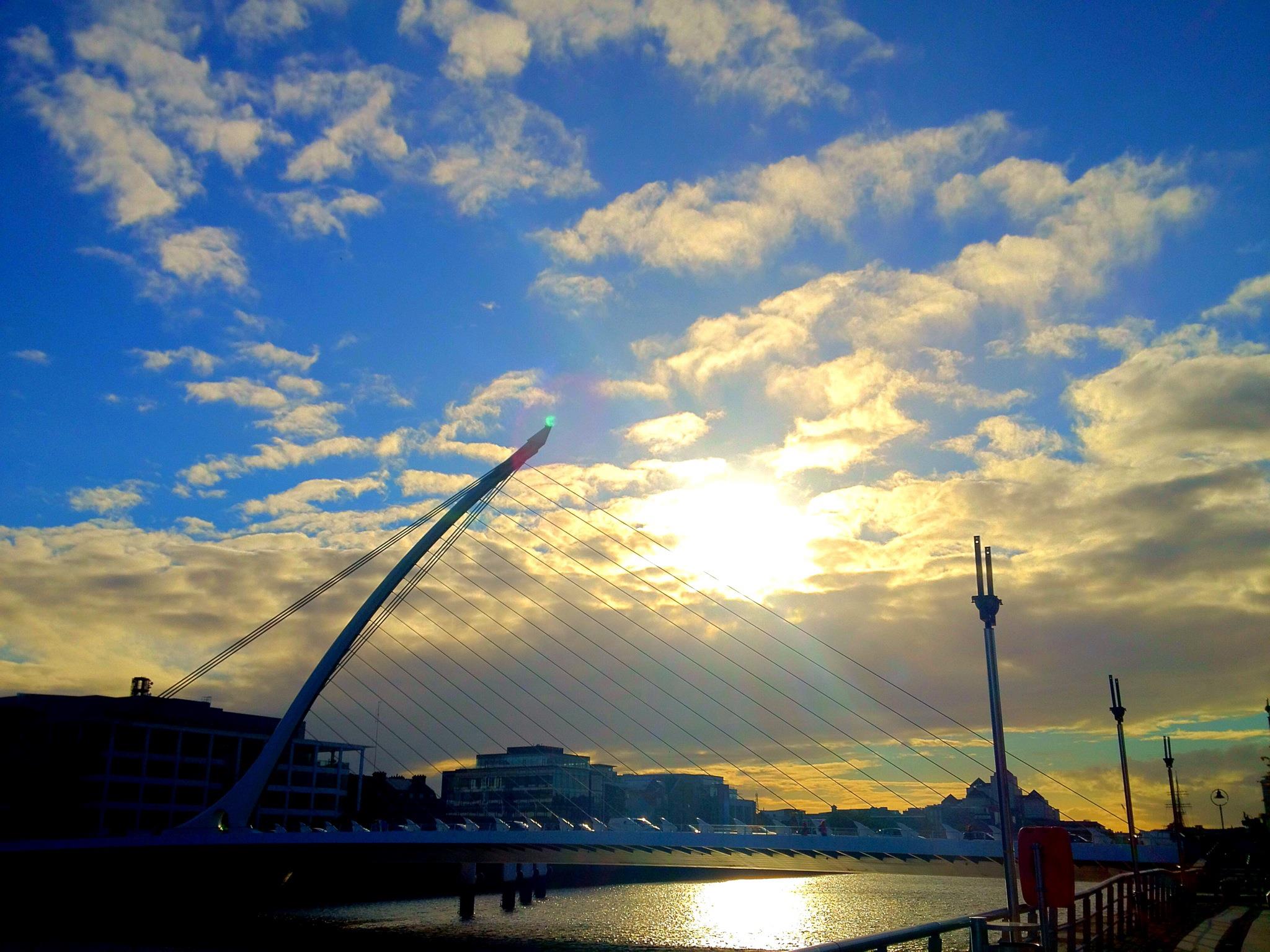 Samuel Beckett Bridge, Dublin (ダブリン), Ireland 🇮🇪