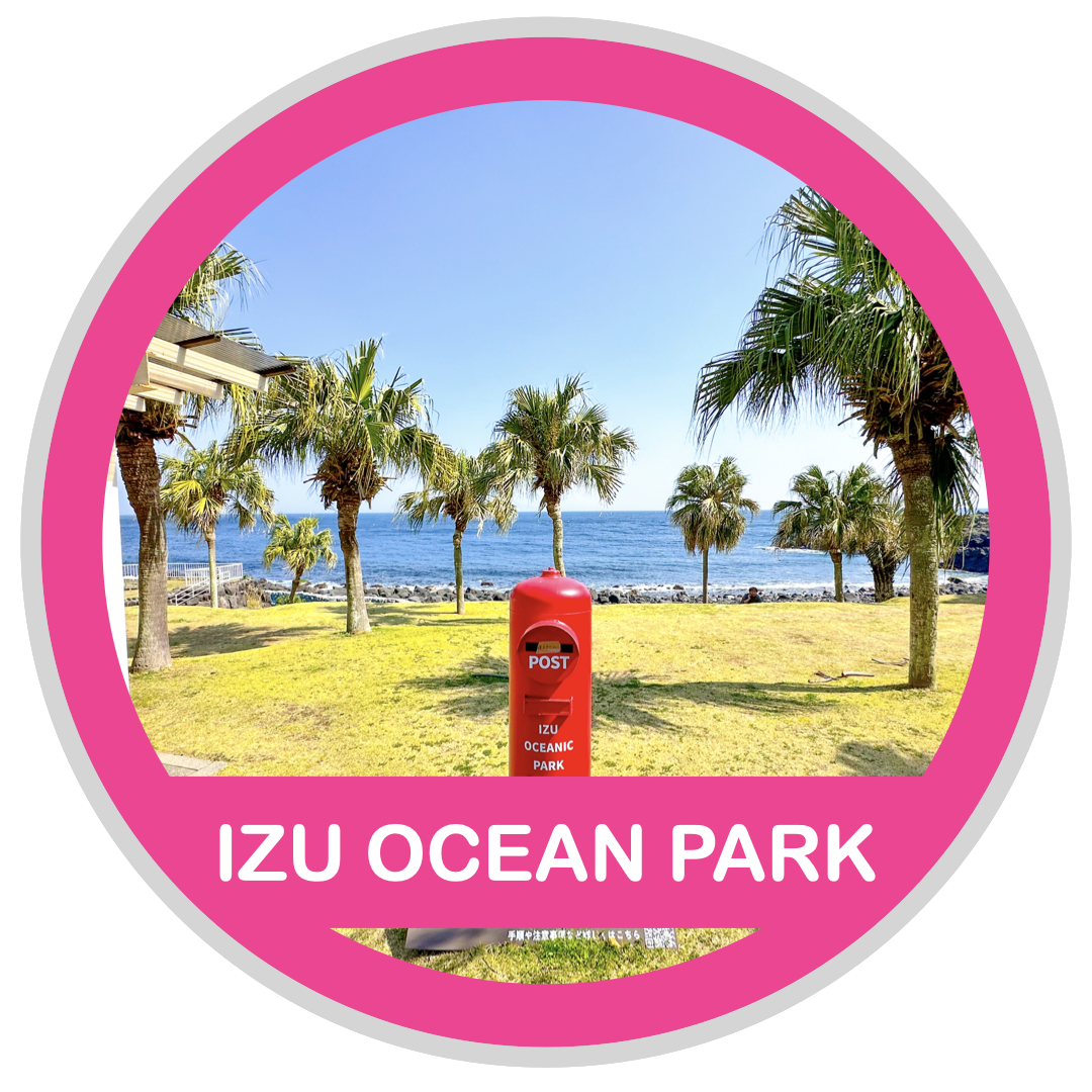 IZU OCEAN PARK ( 伊豆海洋公園でダイビング )