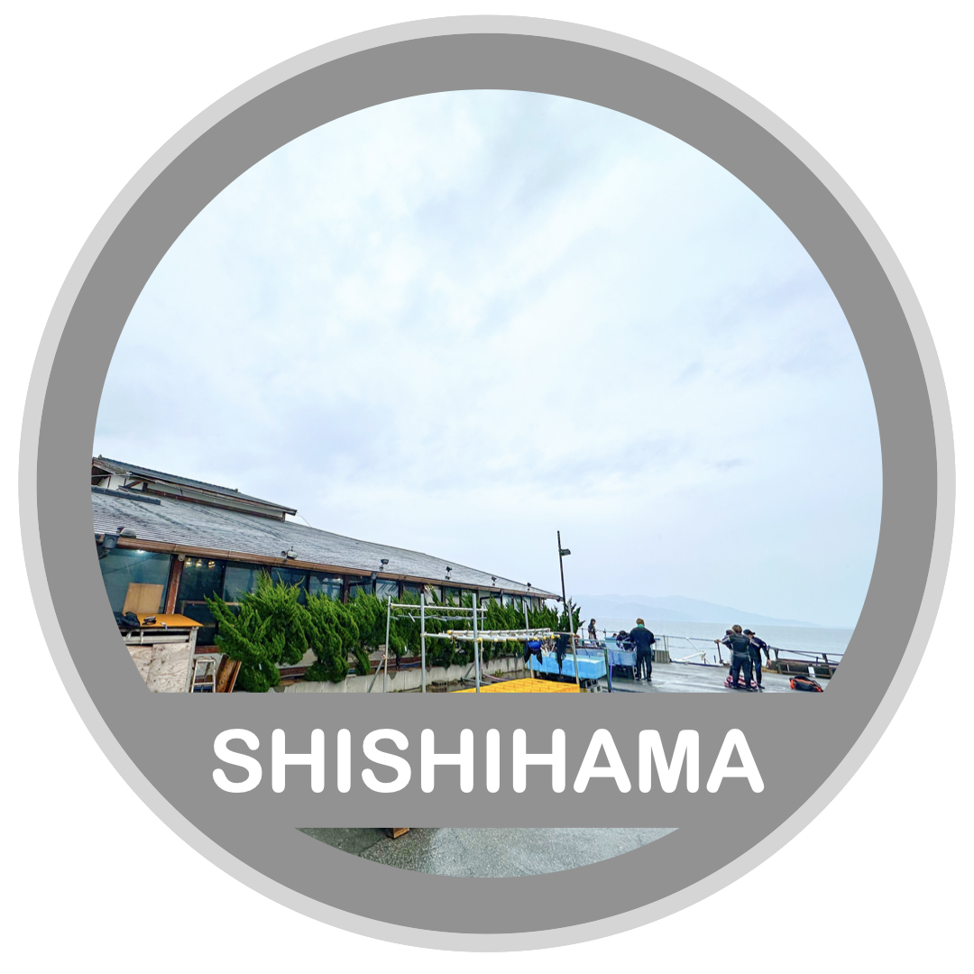 SHISHIHAMA ( 獅子浜でダイビング )