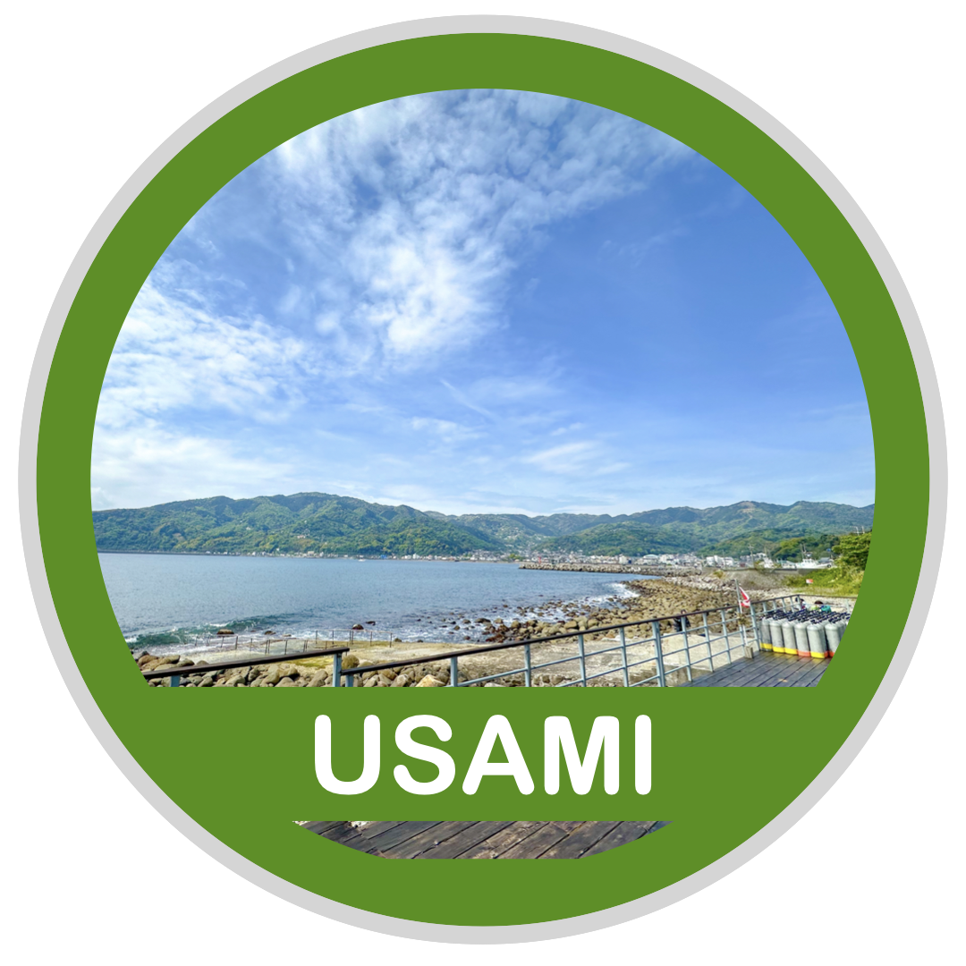 USAMI ( 宇佐美でダイビング )