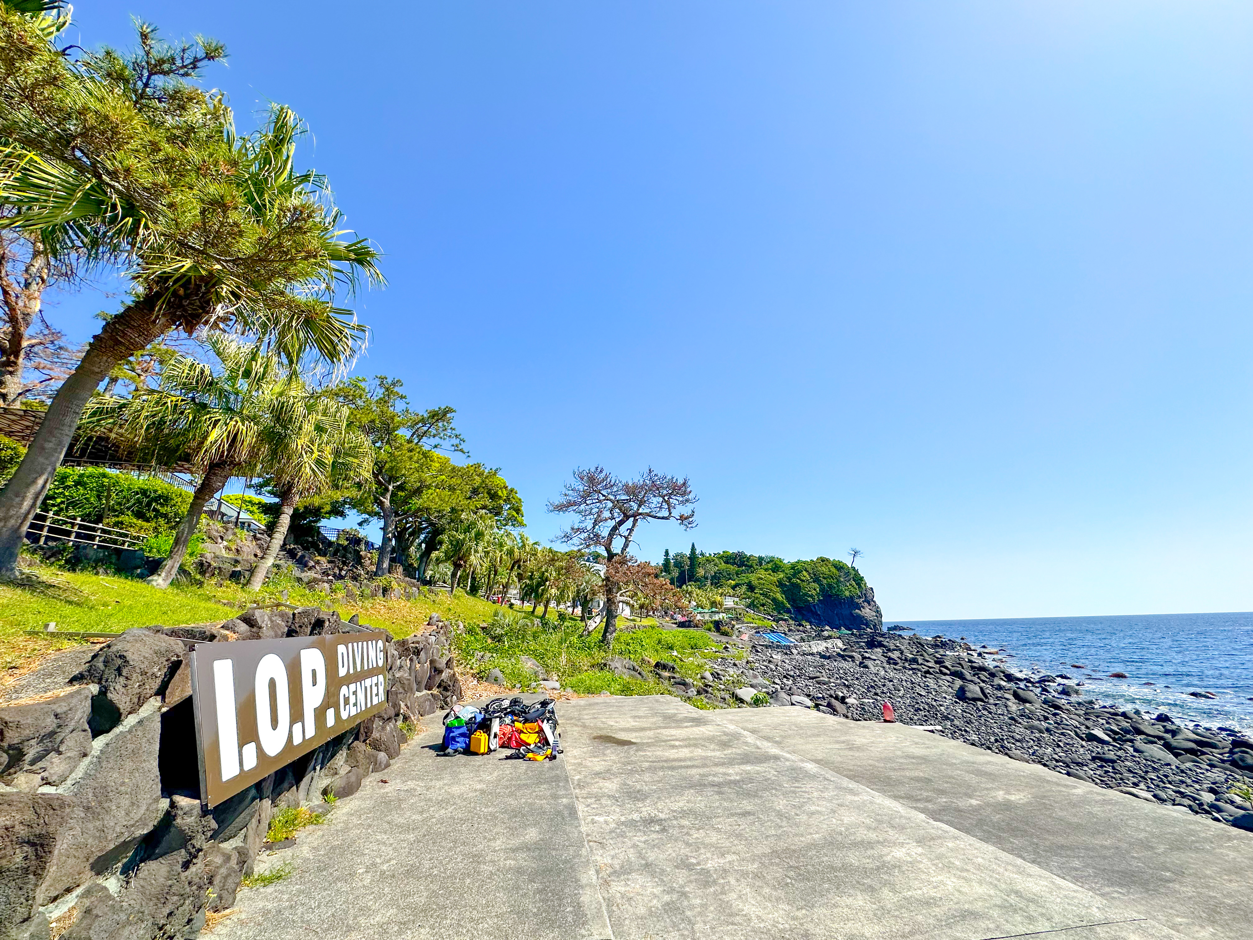 伊豆海洋公園 ( IOP - Izu Ocean Park ) でダイビング こいのぼり 20240504