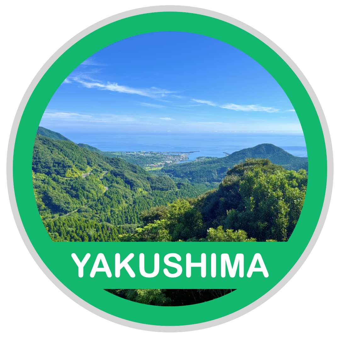 YAKUSHIMA ( 屋久島でダイビング )