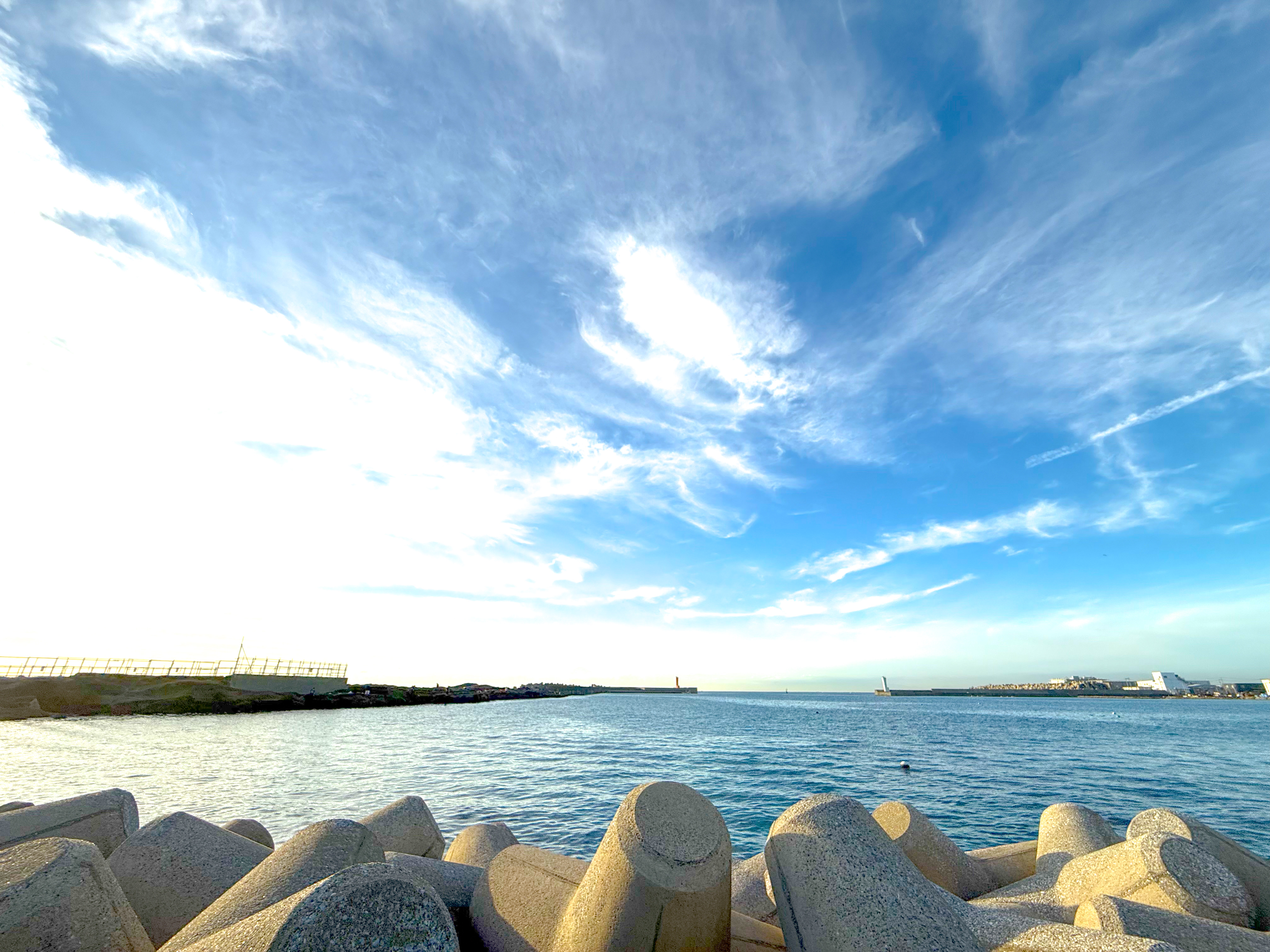 Jogashima ( 城ヶ島 ) 20241117