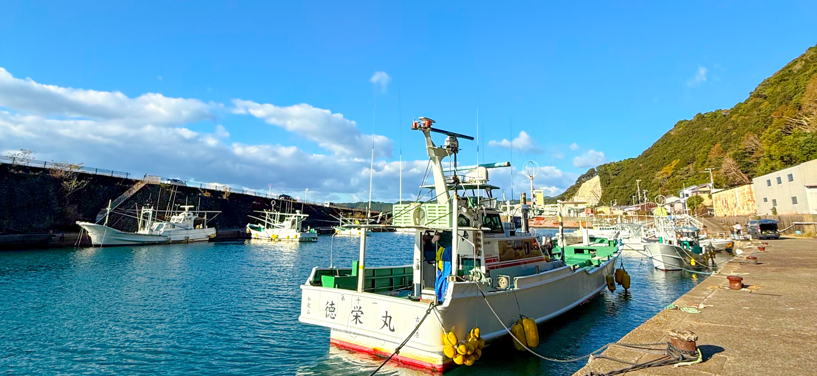 古座 ( Koza ) でダイビング 20241129-20241130