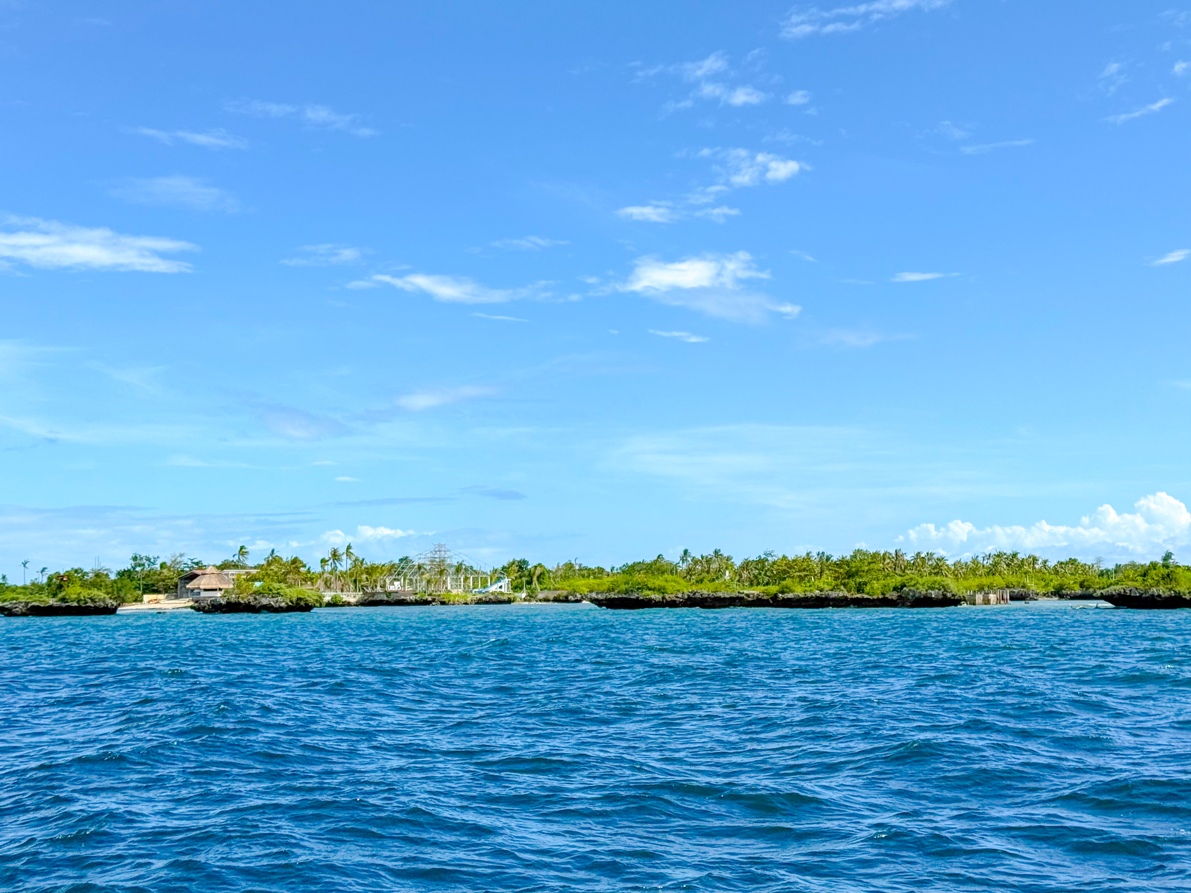 オランゴ島 ( Olango Island ) でダイビング 20250117