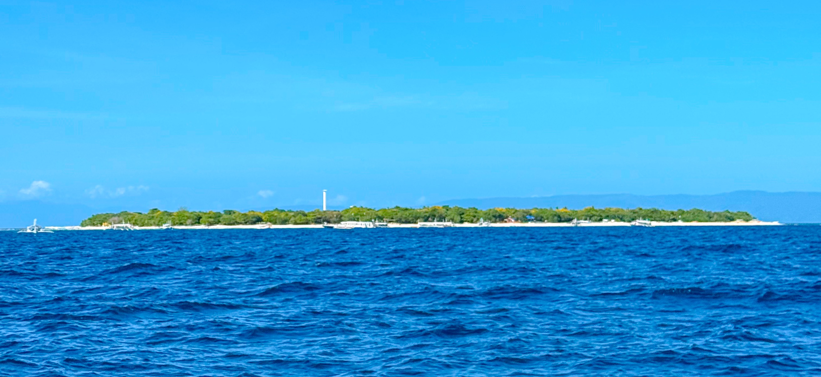 バリカサグ島 ( Balicasag Island ) でダイビング 20250118