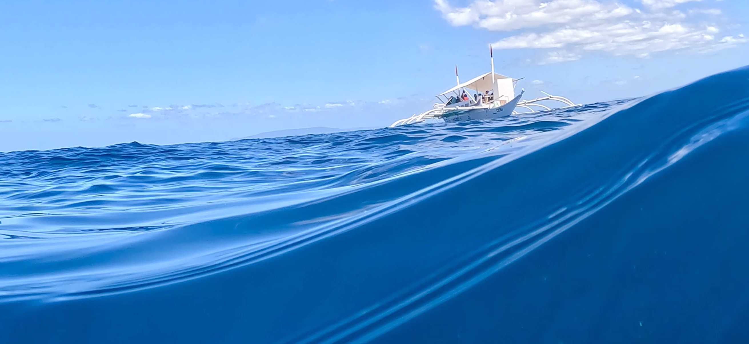 バリカサグ島 ( Balicasag Island ) でダイビング 20250118