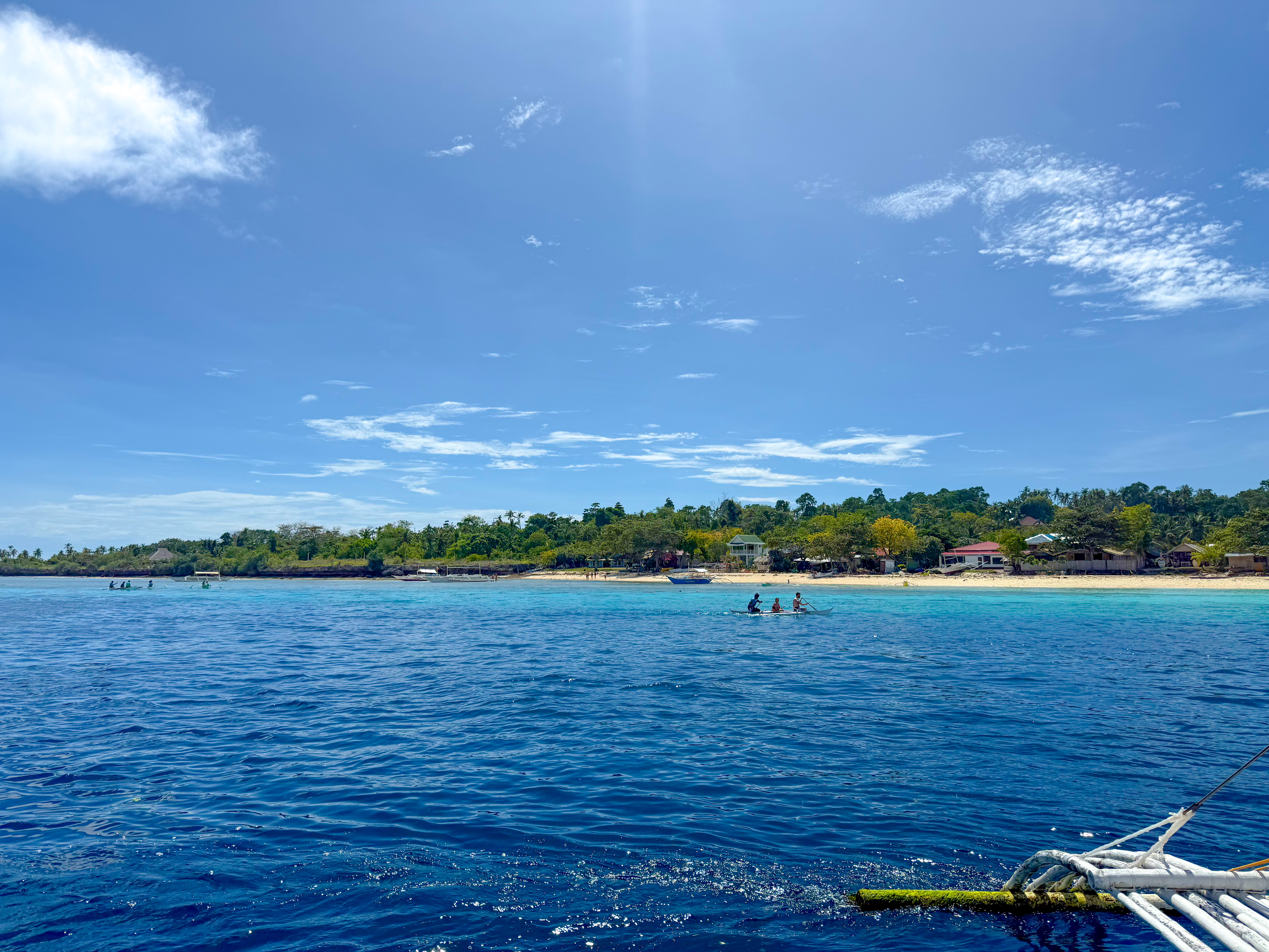 パミラカン島 ( Pamilacan Island ) でダイビング 20250119