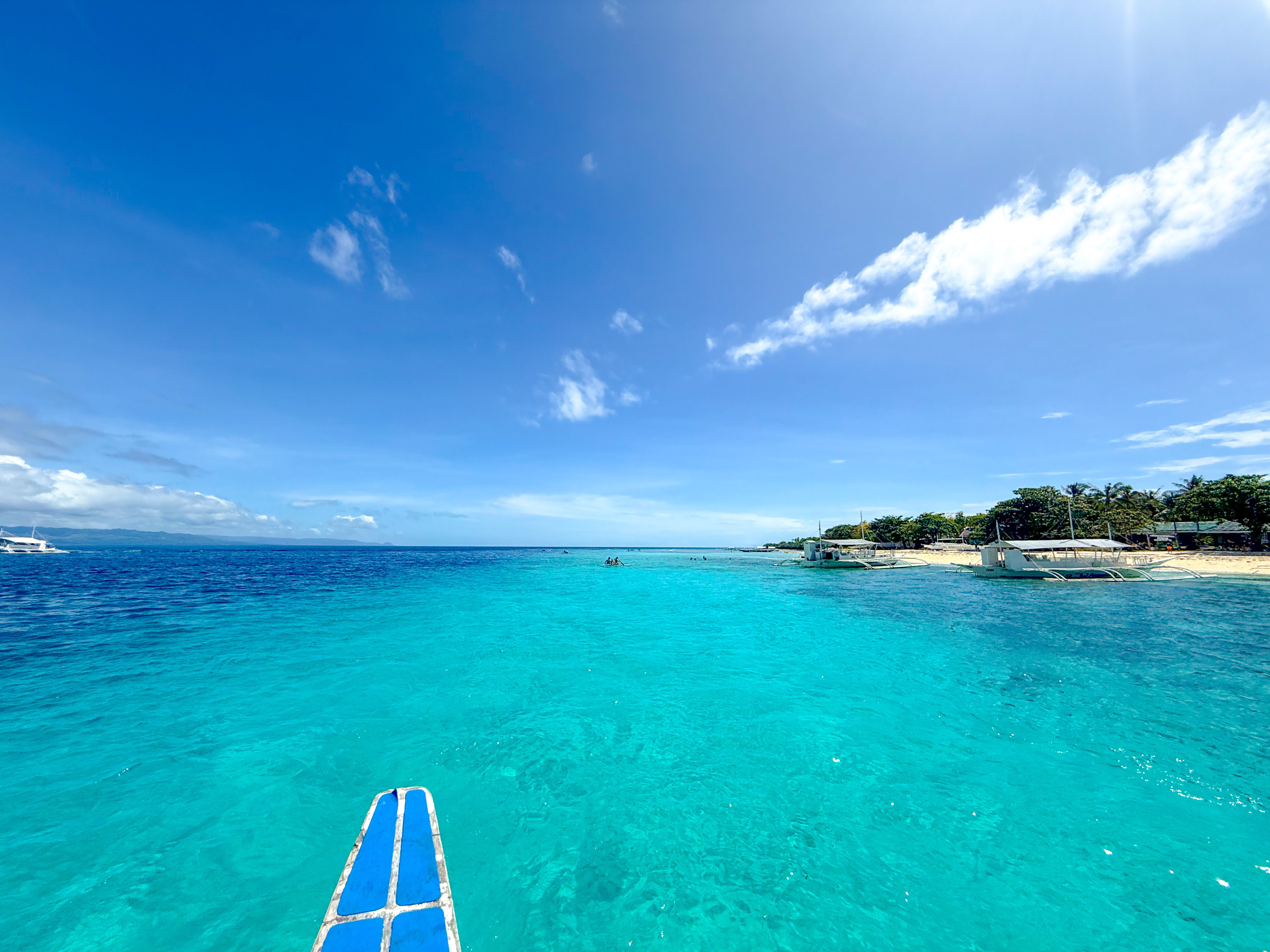 パミラカン島 ( Pamilacan Island ) でダイビング 20250119
