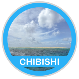 CHIBISHI ( チービシでダイビング )