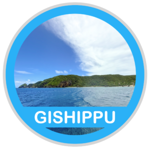 GISHIPPU ( 儀志布島でダイビング )
