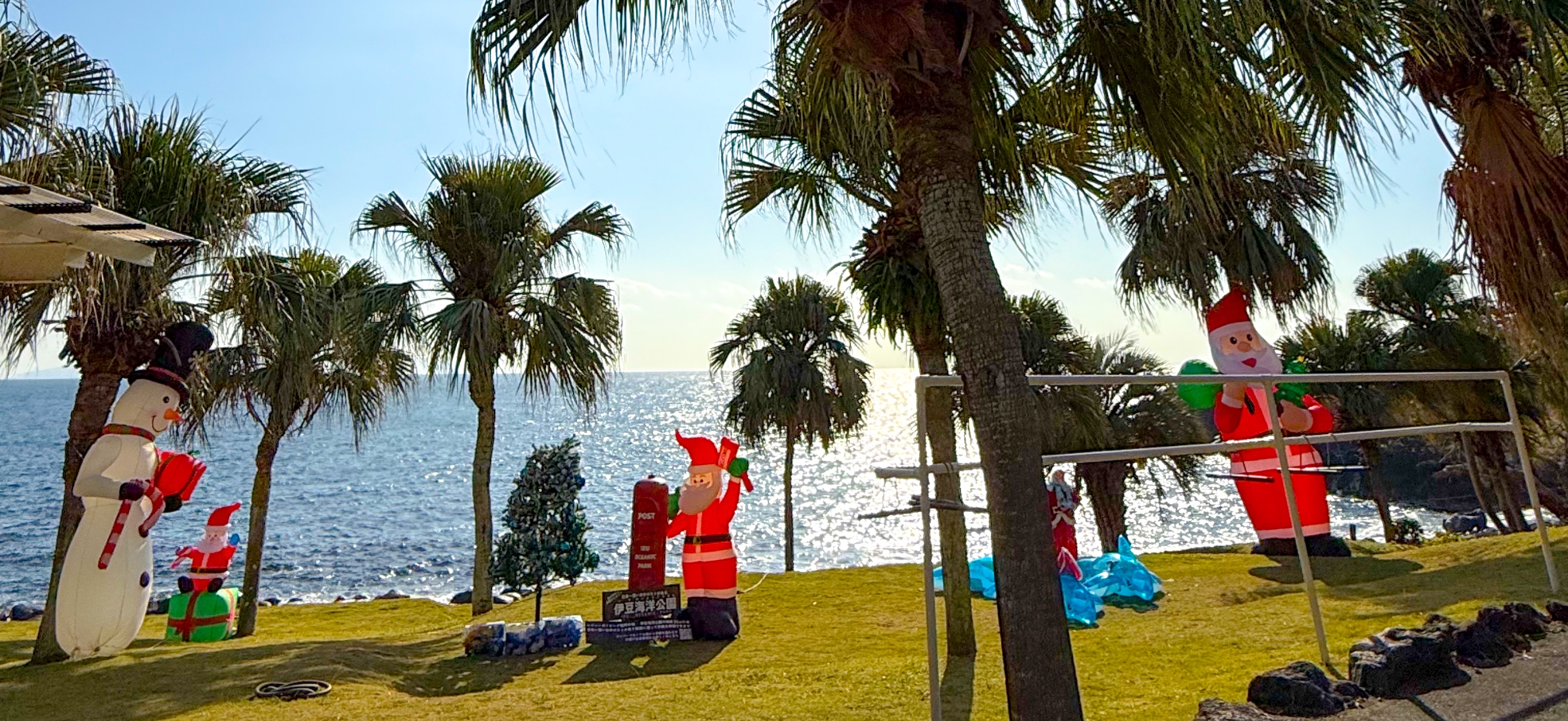 クリスマス 伊豆海洋公園 ( IOP - Izu Ocean Park ) でダイビング 20251130