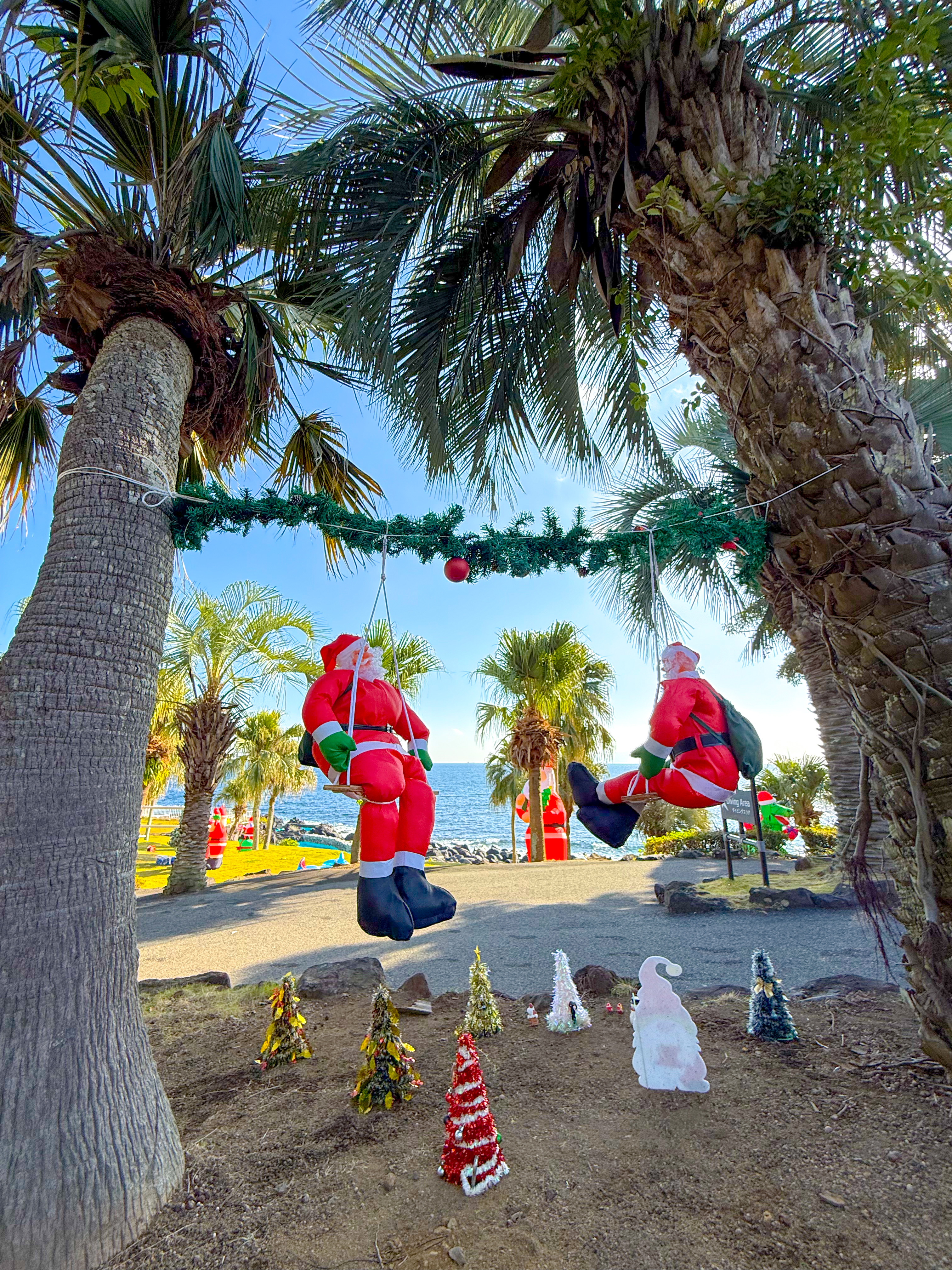サンタクロースとツリー 伊豆海洋公園 ( IOP - Izu Ocean Park ) でダイビング 20251130