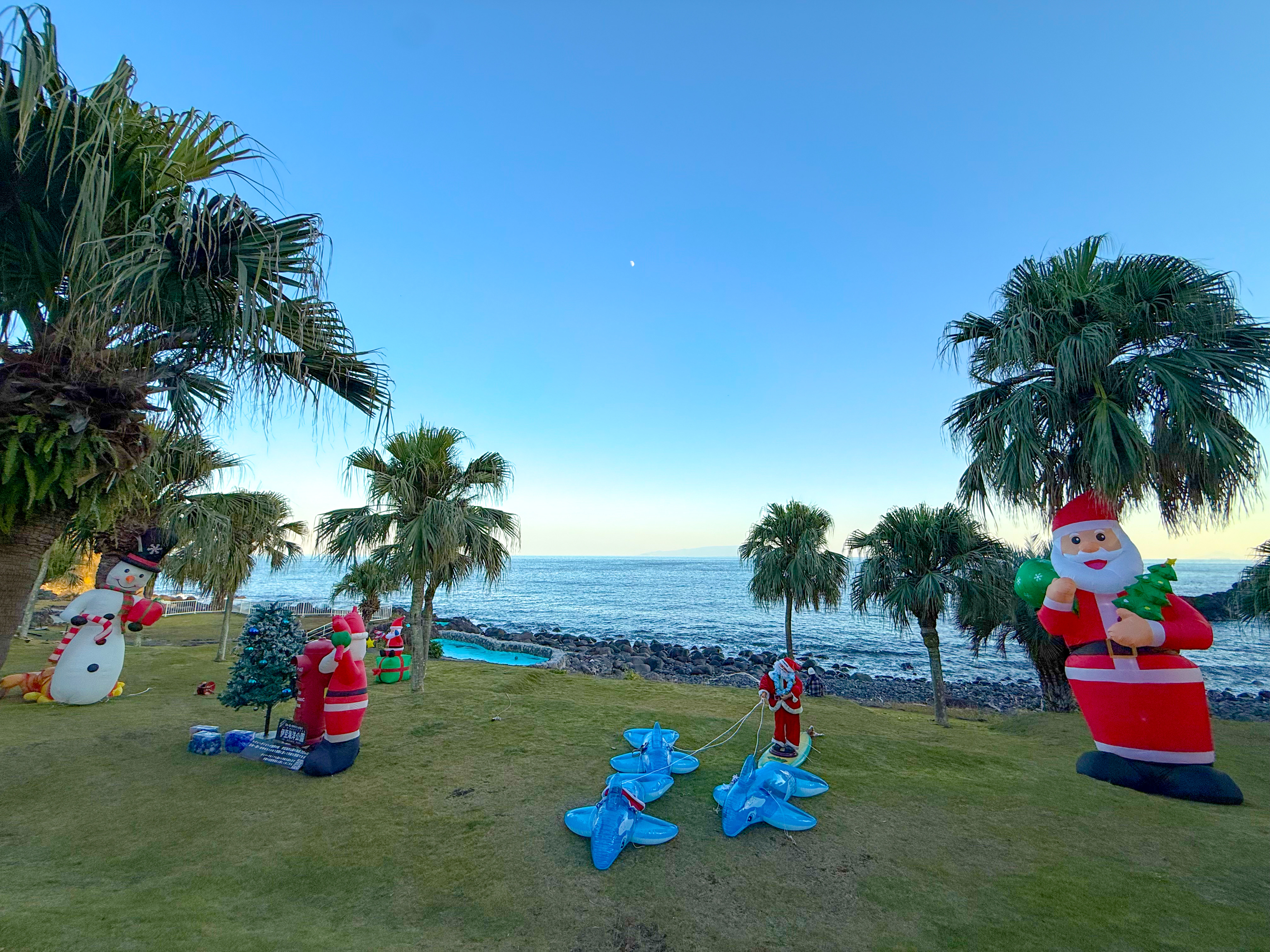 クリスマス 伊豆海洋公園 ( IOP - Izu Ocean Park ) でダイビング 20251130