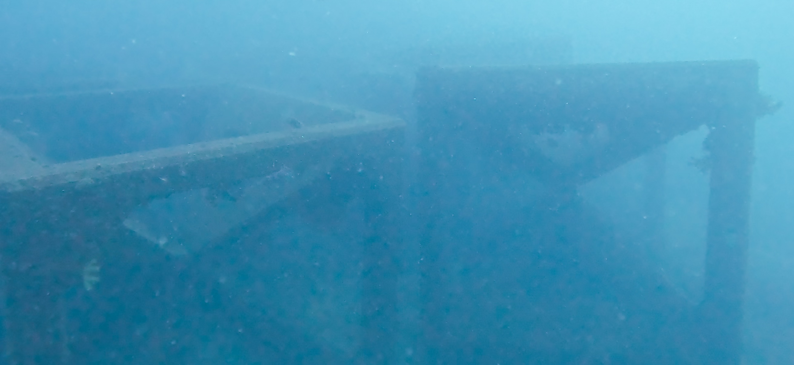 Banda ( 坂田 ) でダイビング 20251213