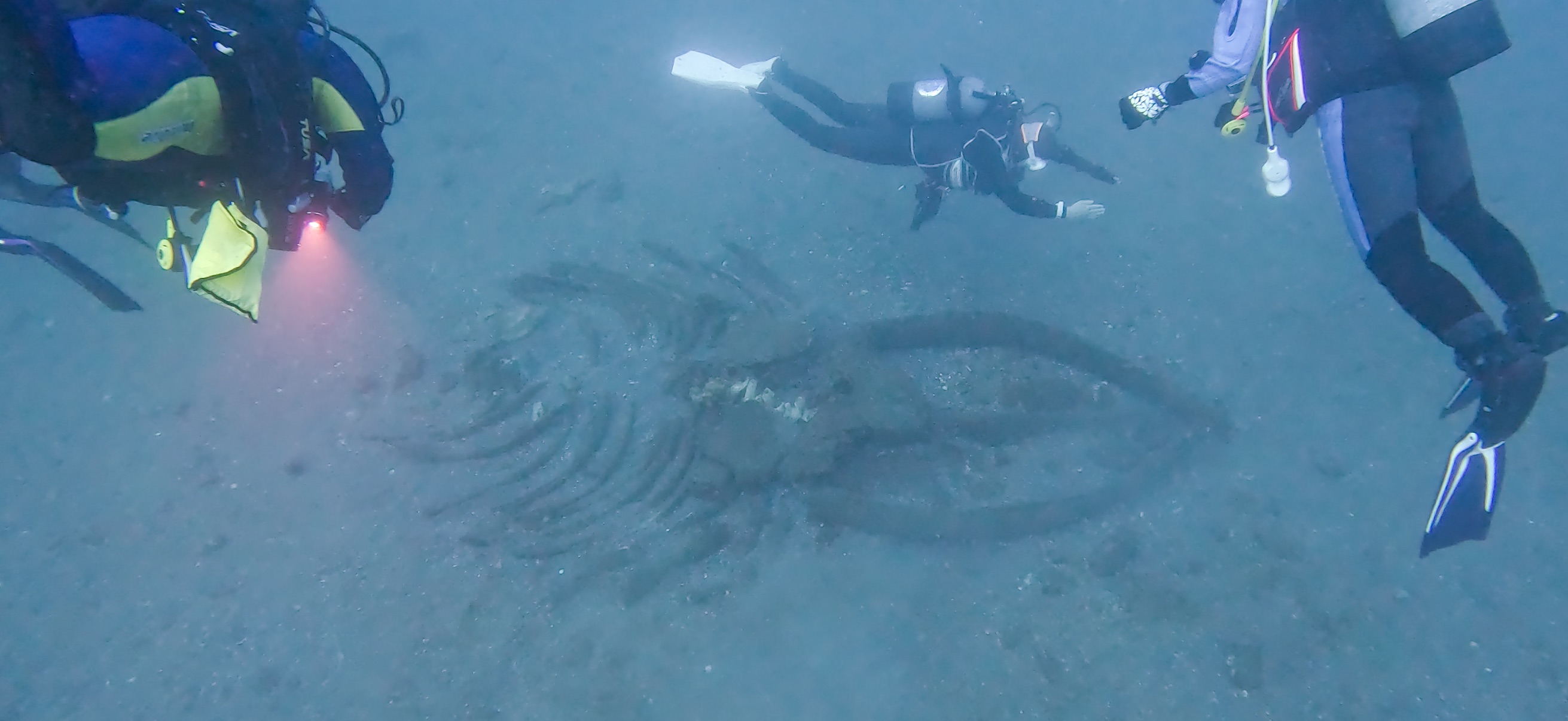 くじらの骨 Banda ( 坂田 ) でダイビング 20251213