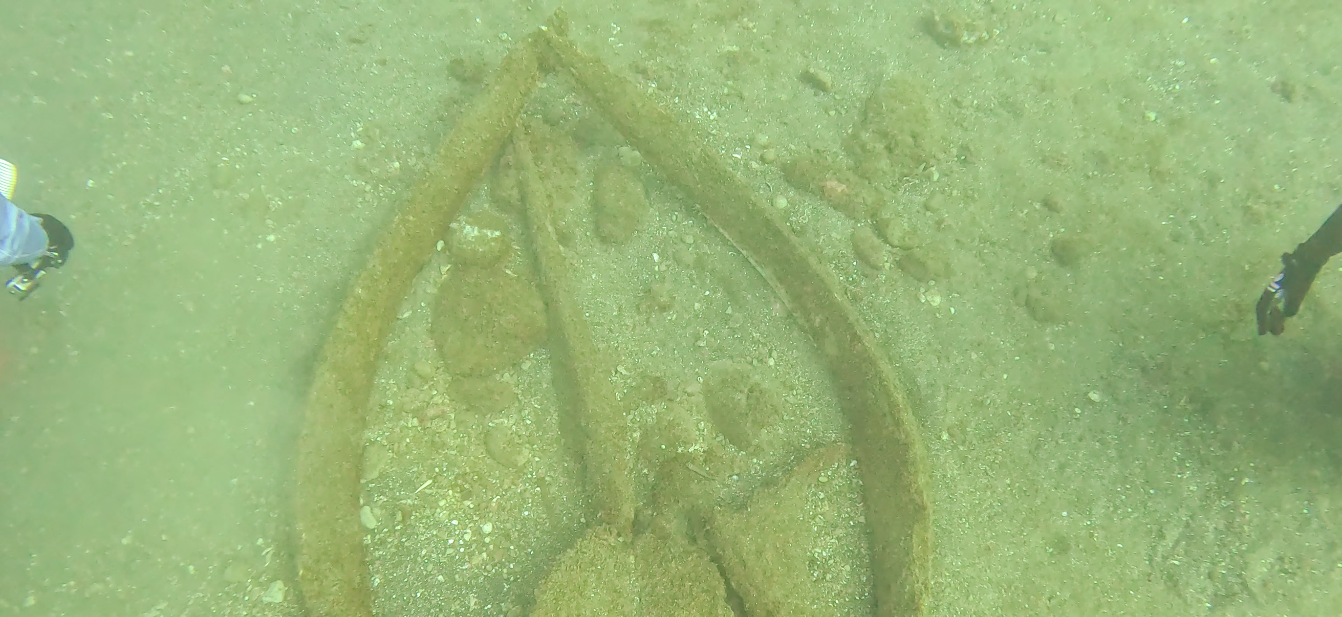 くじらの骨 Banda ( 坂田 ) でダイビング 20251213