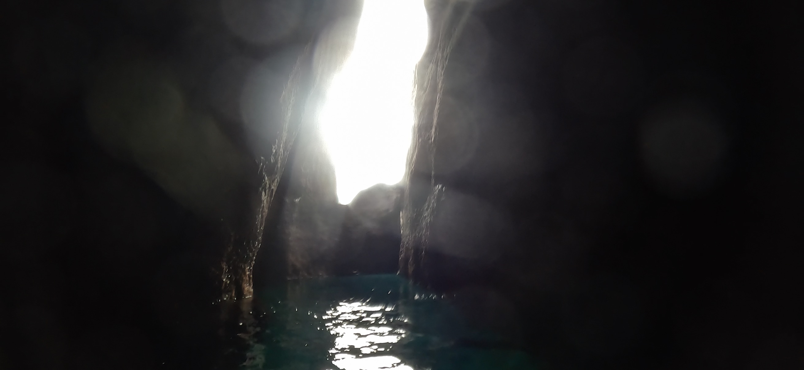 黄金崎ドーム 黄金崎 ( Koganezaki ) でダイビング 20251108