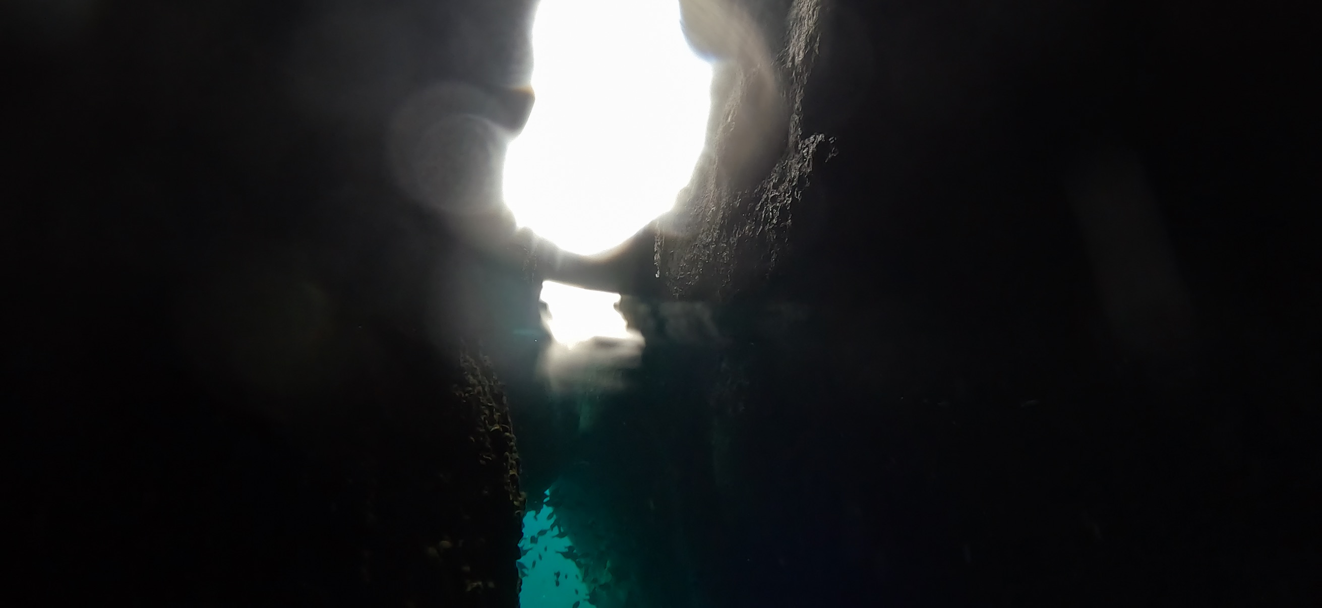 黄金崎ドーム 黄金崎 ( Koganezaki ) でダイビング 20251108