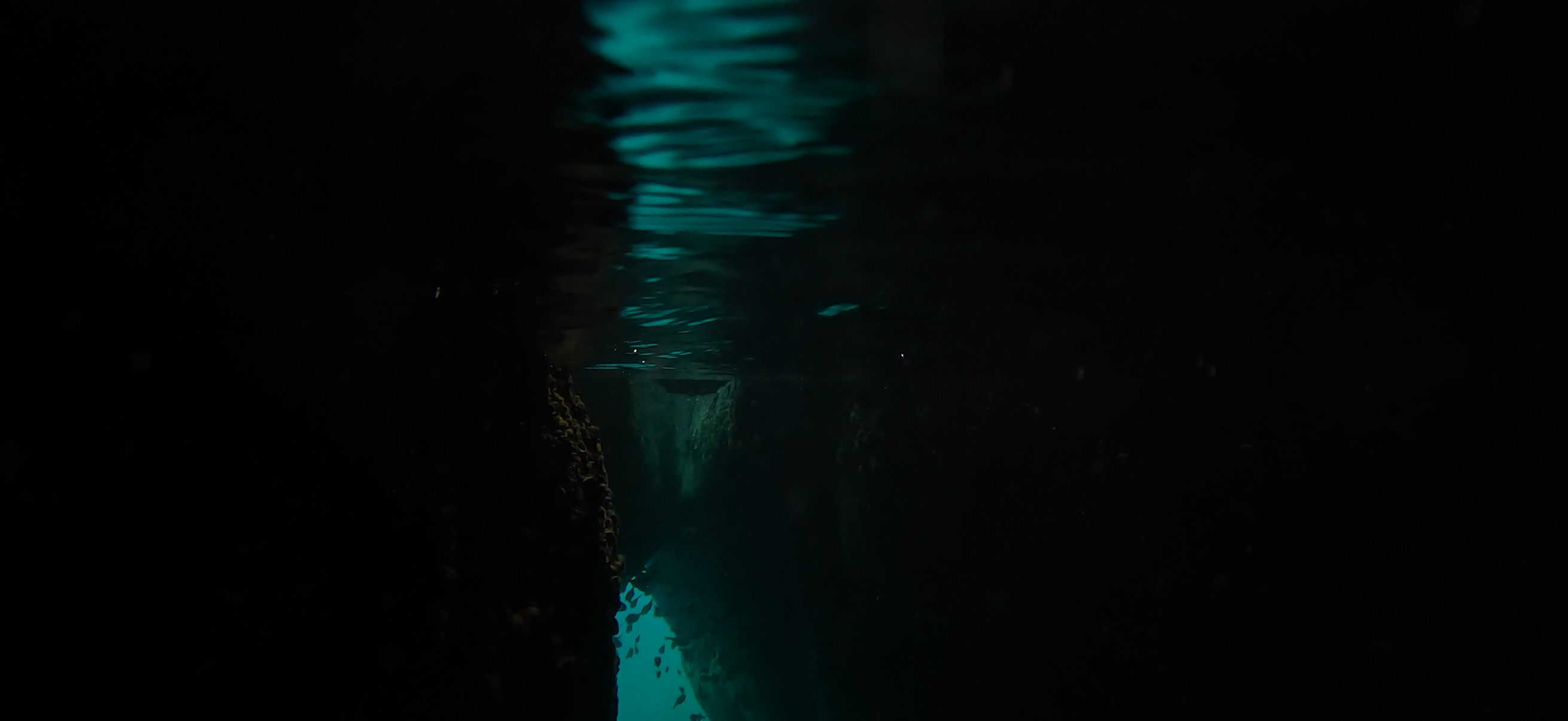 黄金崎ドーム 黄金崎 ( Koganezaki ) でダイビング 20251108