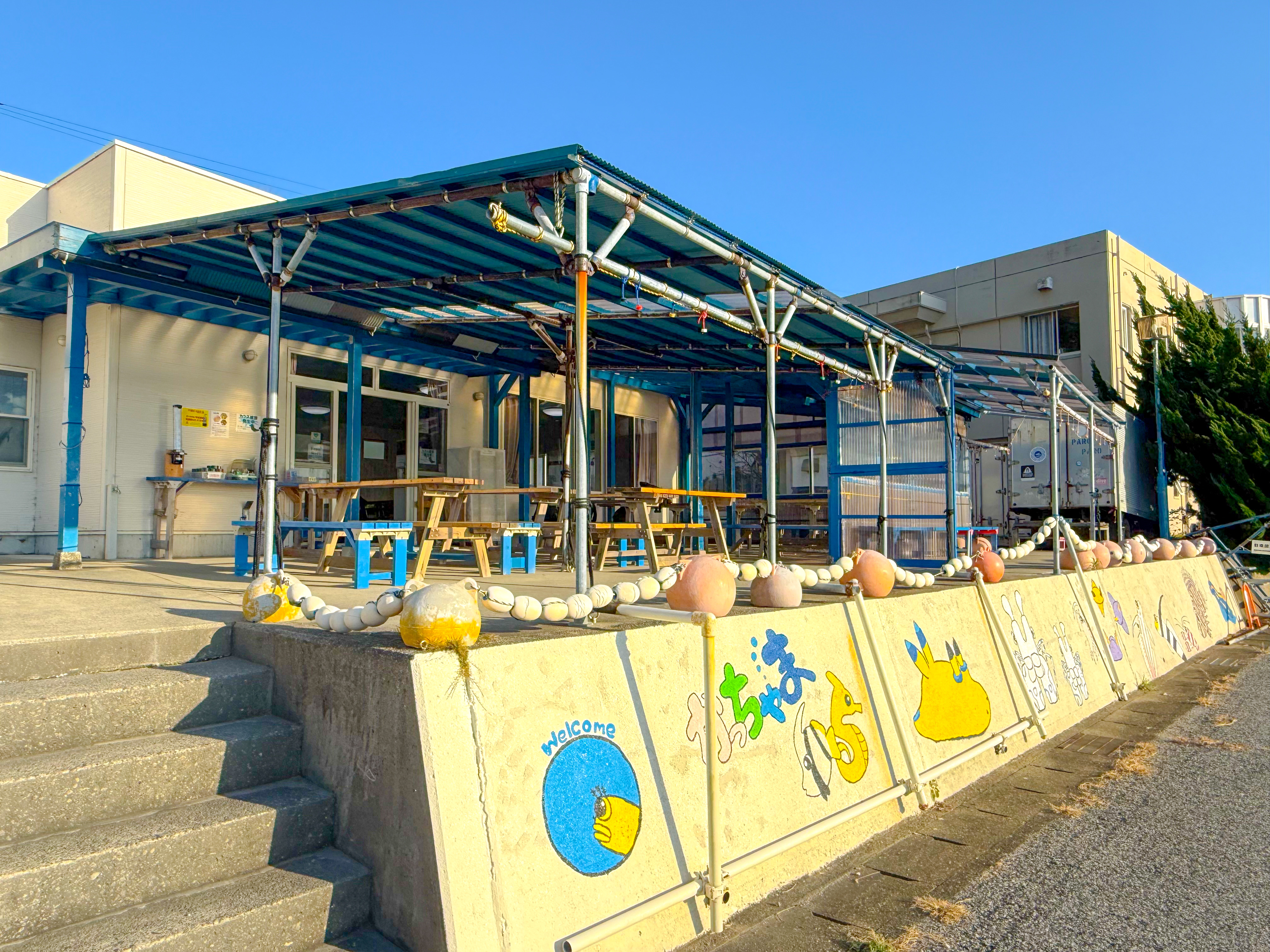 勝山 ( Katsuyama ) でダイビング 20251124