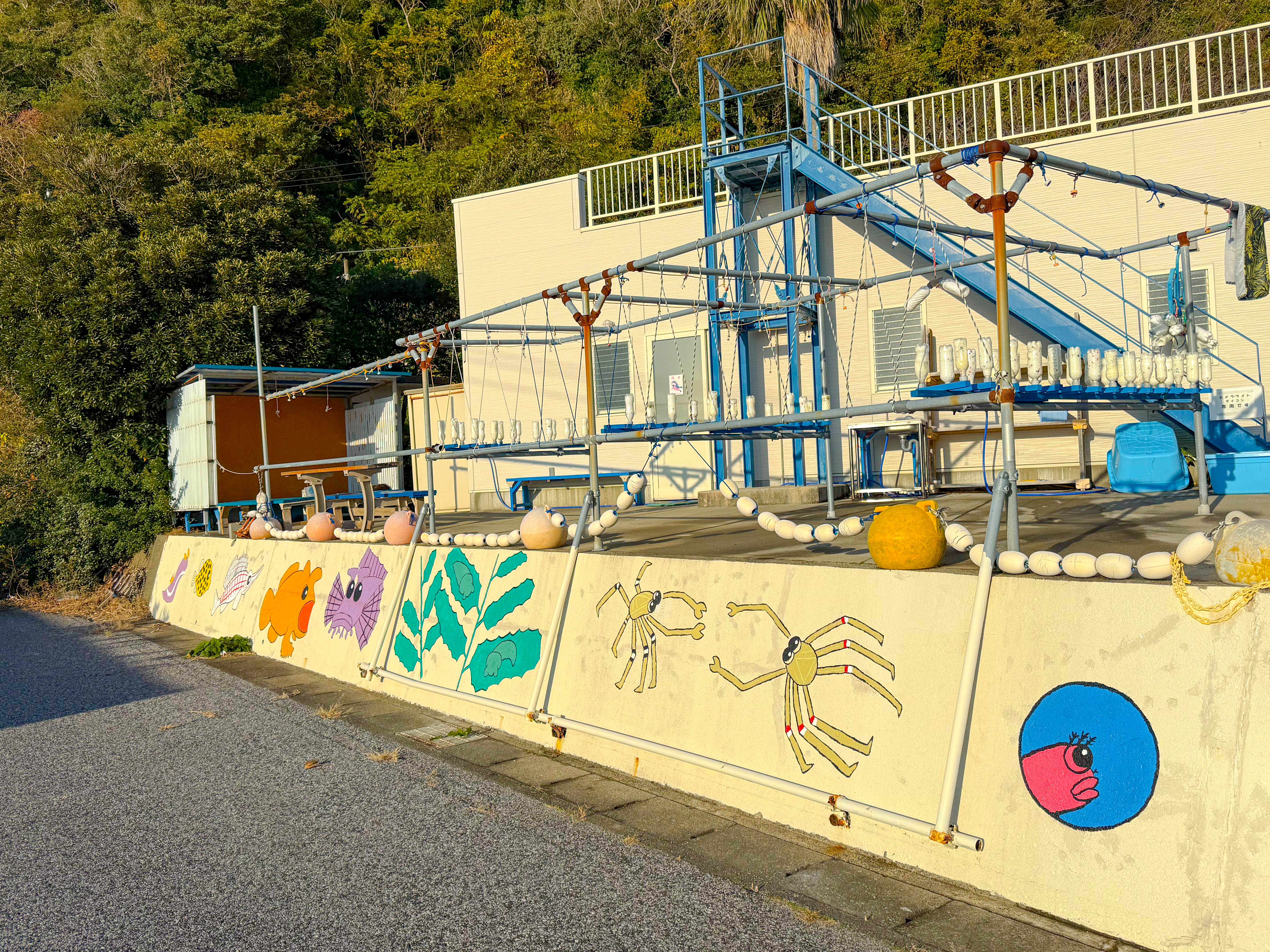 勝山 ( Katsuyama ) でダイビング 20251124