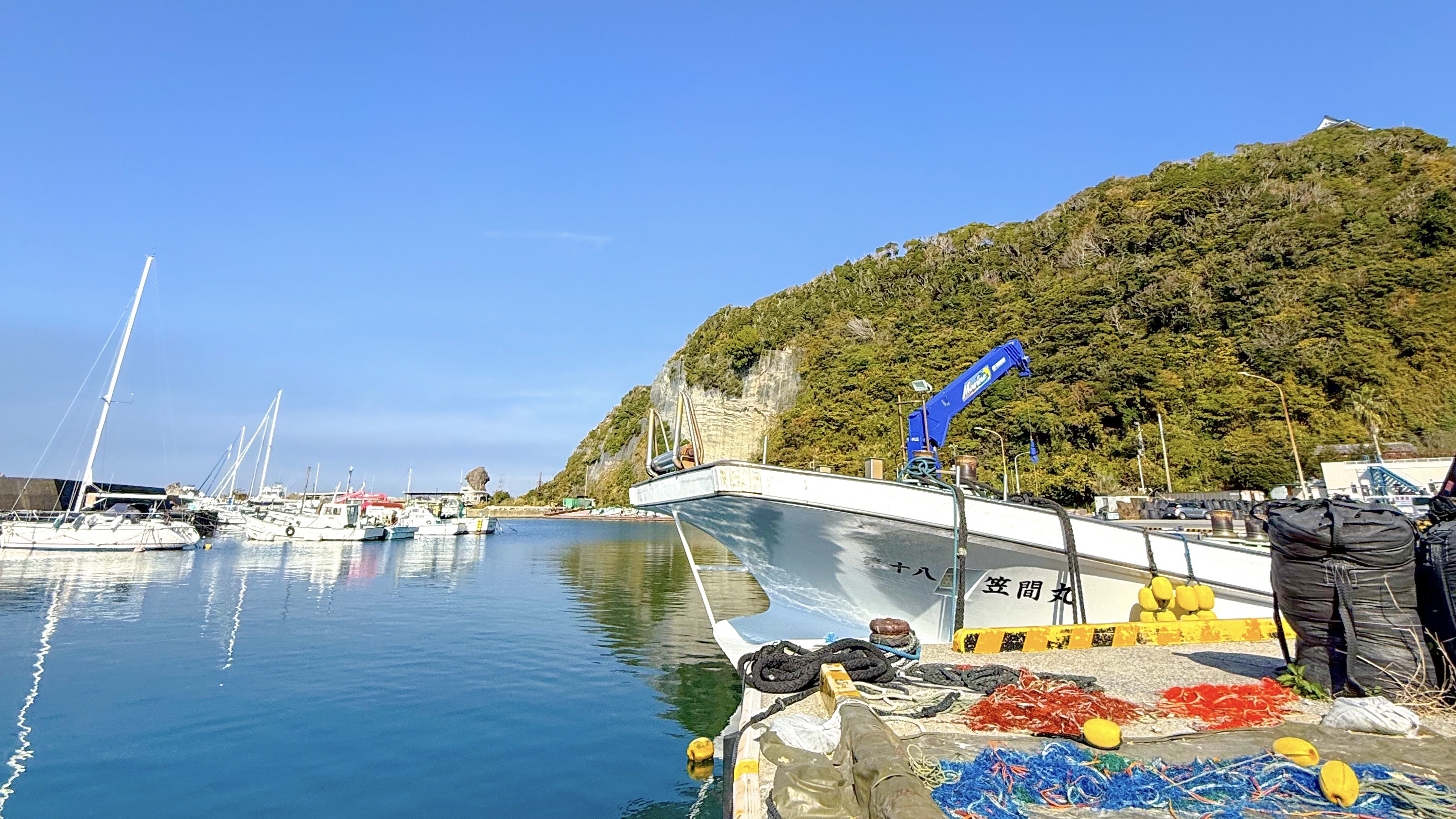 勝山 ( Katsuyama ) でダイビング 20251124