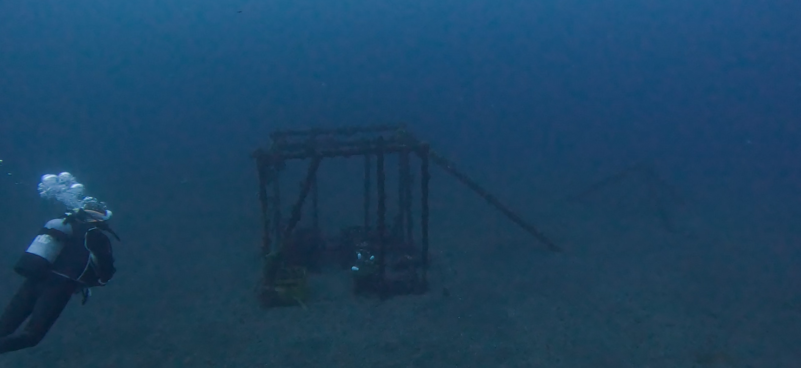 海底でお酒の貯蔵 伊豆大島 ( Oshima ) でダイビング 20260221-20260223