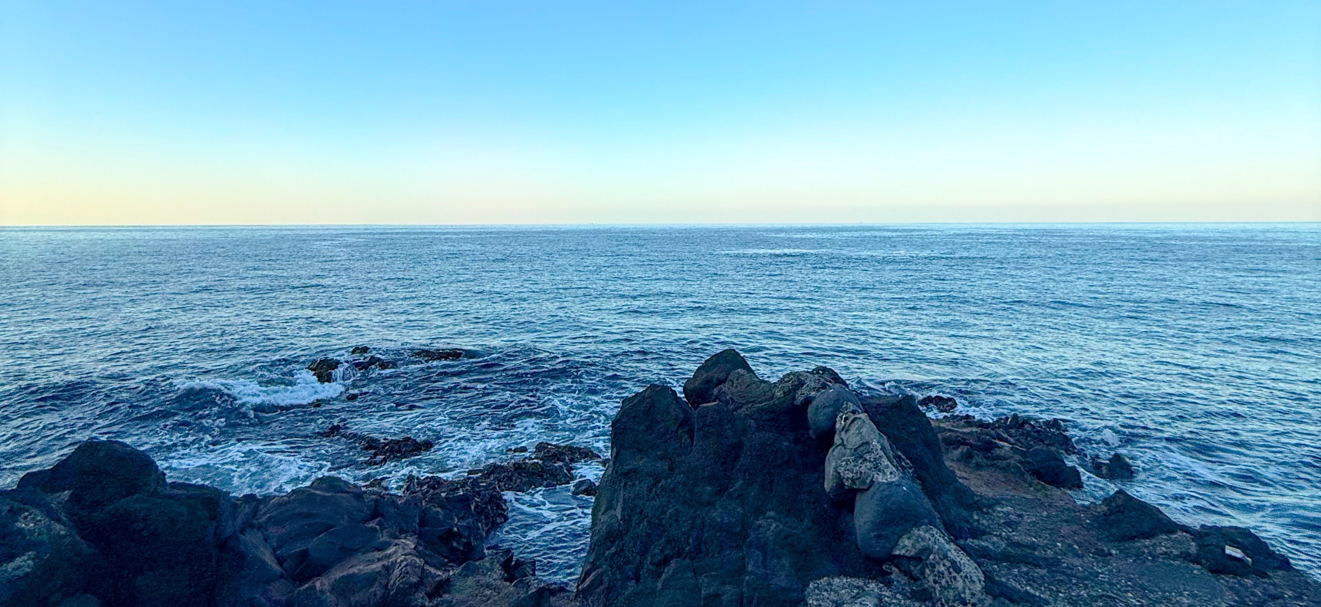 伊豆大島 ( Oshima ) でダイビング 20260221-20260223