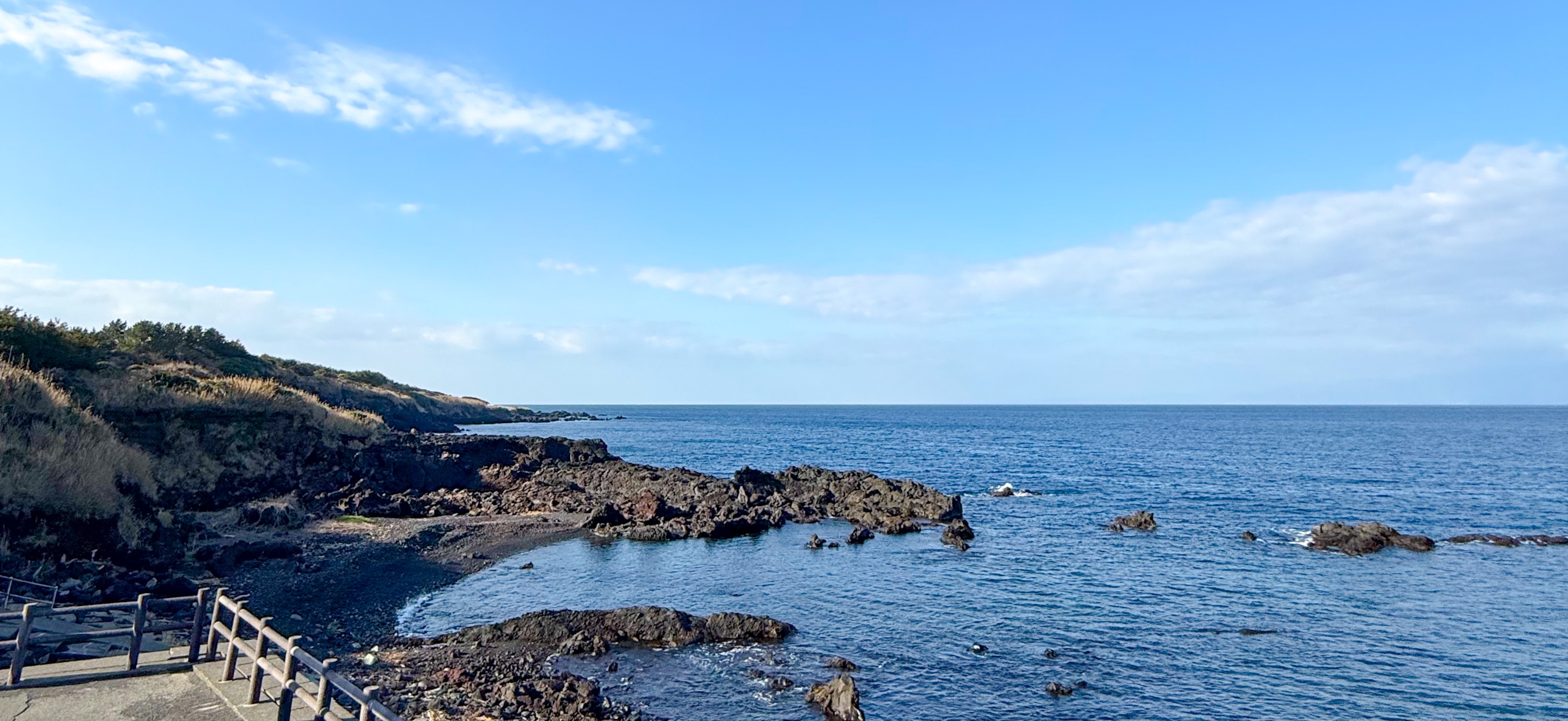 野田浜 伊豆大島 ( Oshima ) でダイビング 20260221-20260223