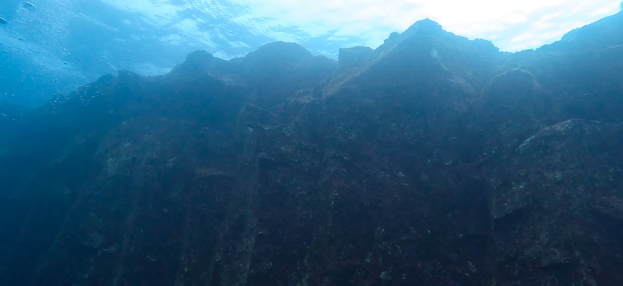 柱状節理 伊豆大島 ( Oshima ) でダイビング 20260221-20260223